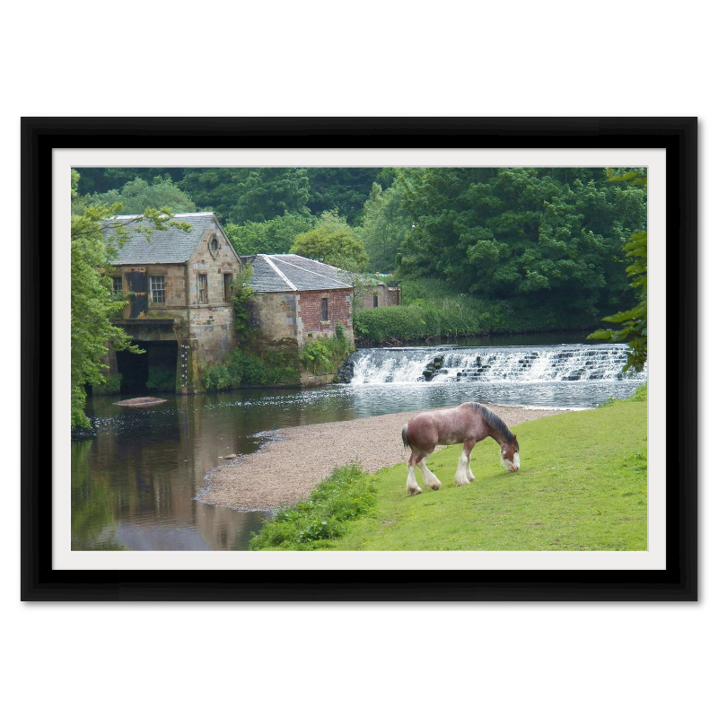 Old Sawmill in Scotland