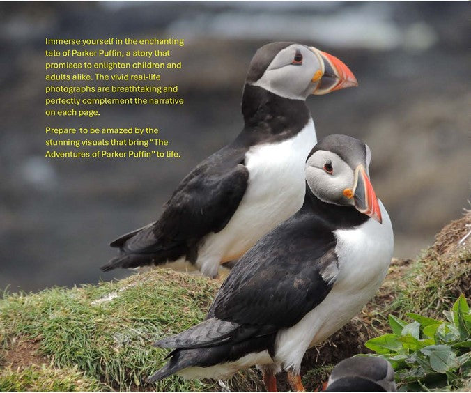 The Adventures of Parker Puffin