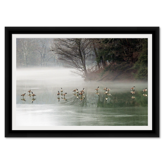 Canadian Geese on a Hazy Lake