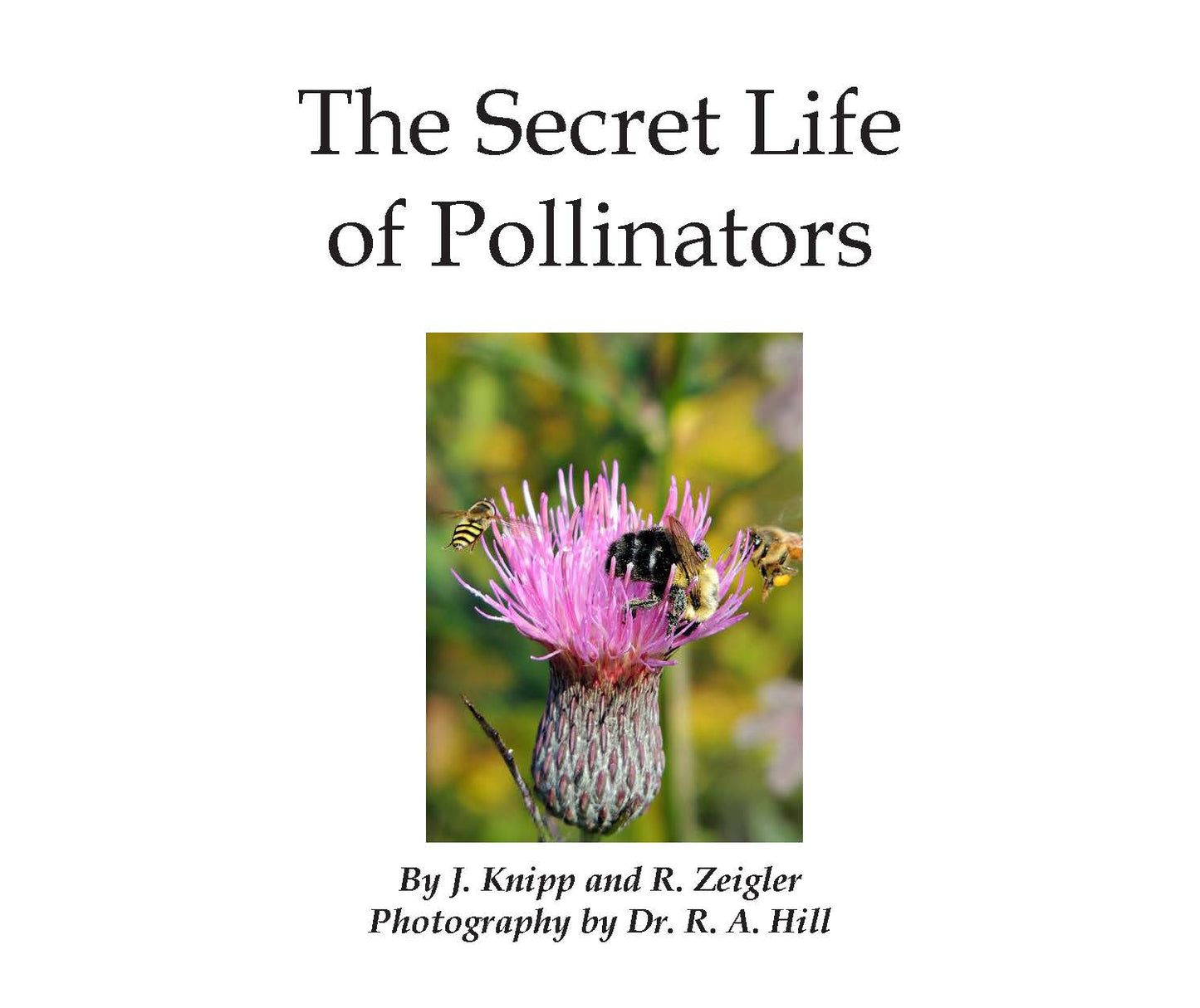 The Secret Life of Pollinators