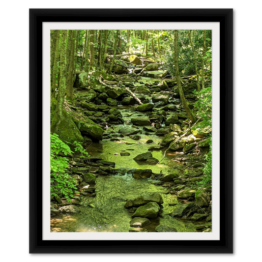 Mossy Stream