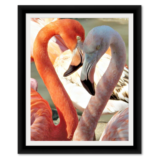 Flamingo Hug