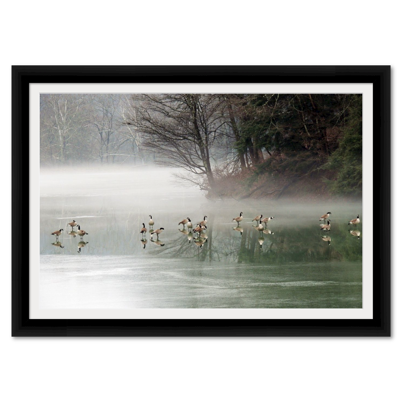 Canadian Geese on a Hazy Lake