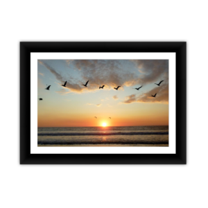 Seagulls in Flight