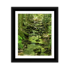 Green Stream