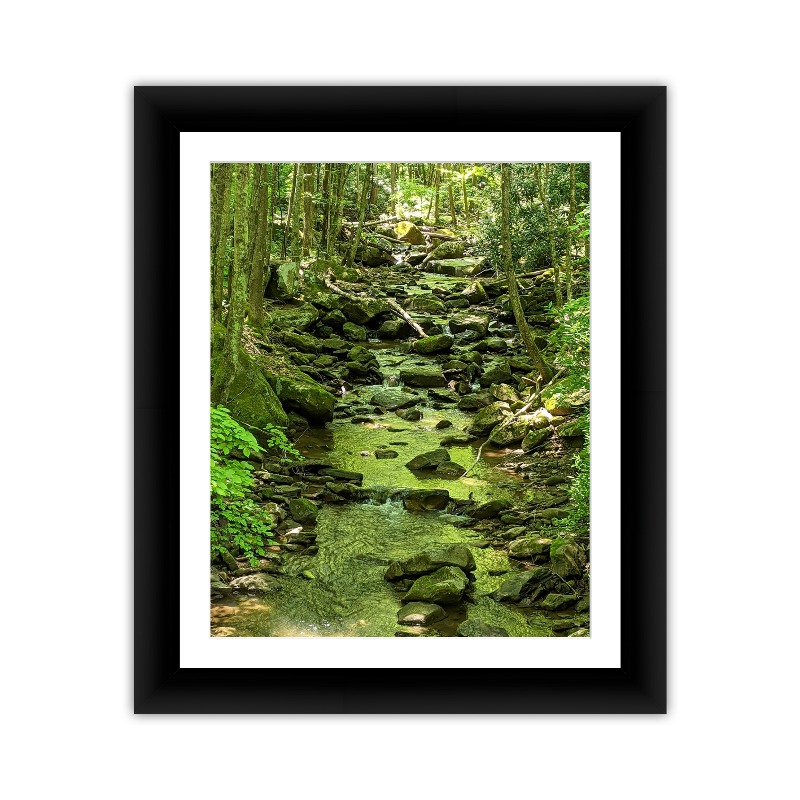 Green Stream