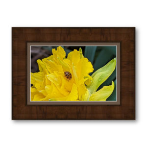 Etsy Blooms Specialty Small 3a