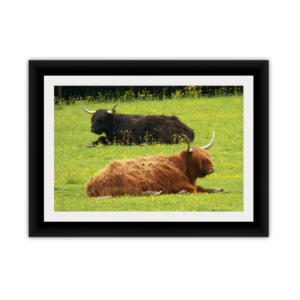Framed Kodak & Photo Paper Prints