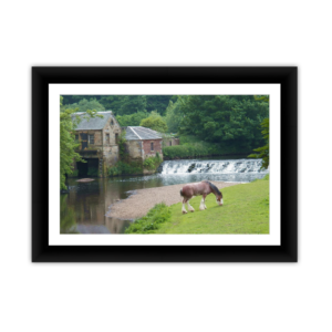 Old Mills