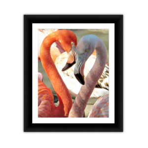 Flamingo Heart