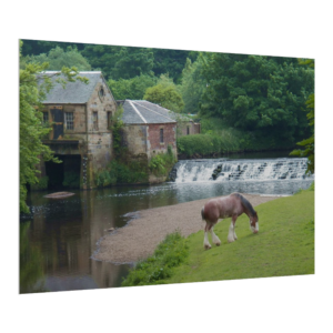 Etsy - Farmhouse Canvas Gatorboard
