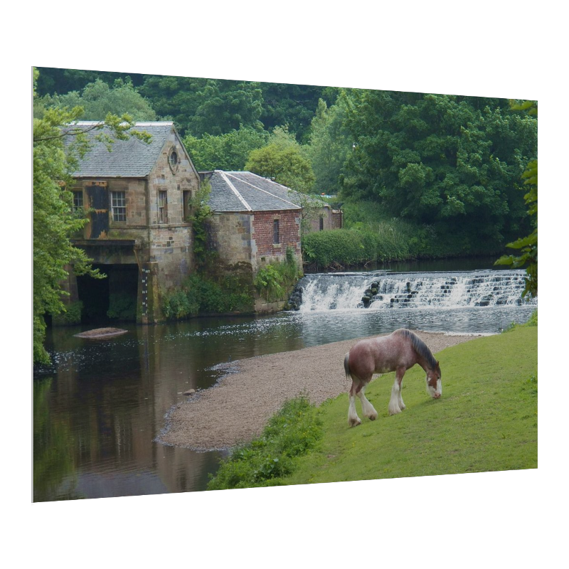 Etsy - Farmhouse Canvas Gatorboard