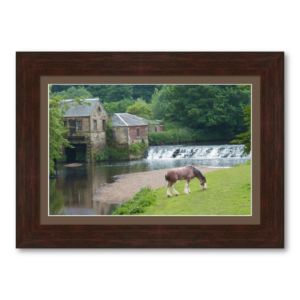 Etsy Farmhouse Specialty 2a Small