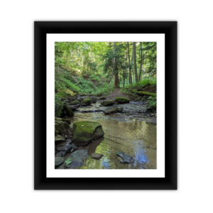Calm Stream