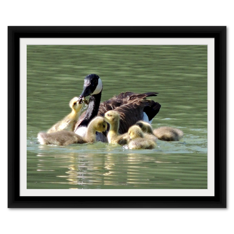 Framed Kodak & Photo Paper Prints