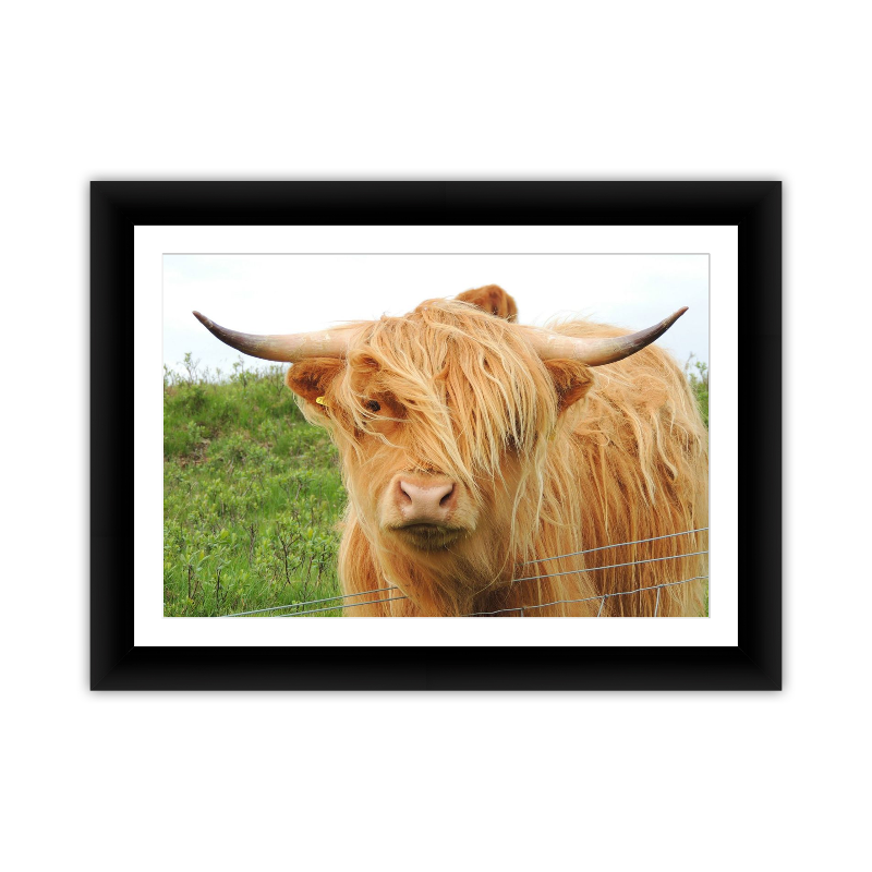 Framed Kodak & Photo Paper Prints