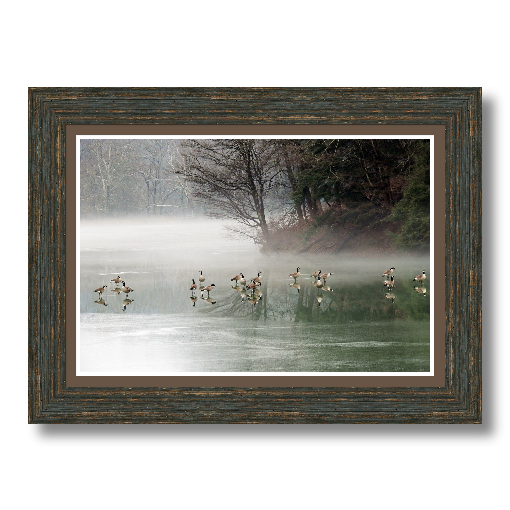 Waterfowl - Custom