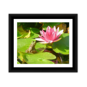 Lily and Frog 2