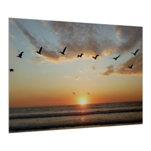 Giclee - Beach Vibes Canvas Gatorboard