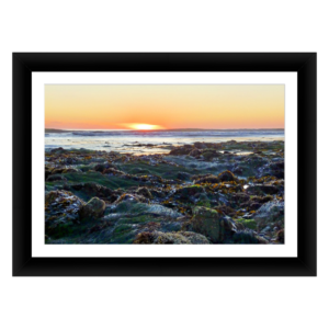 Tidepools