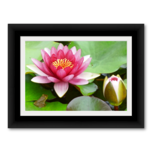 Etsy Blooms 3b Small