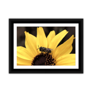 Bee Mimic