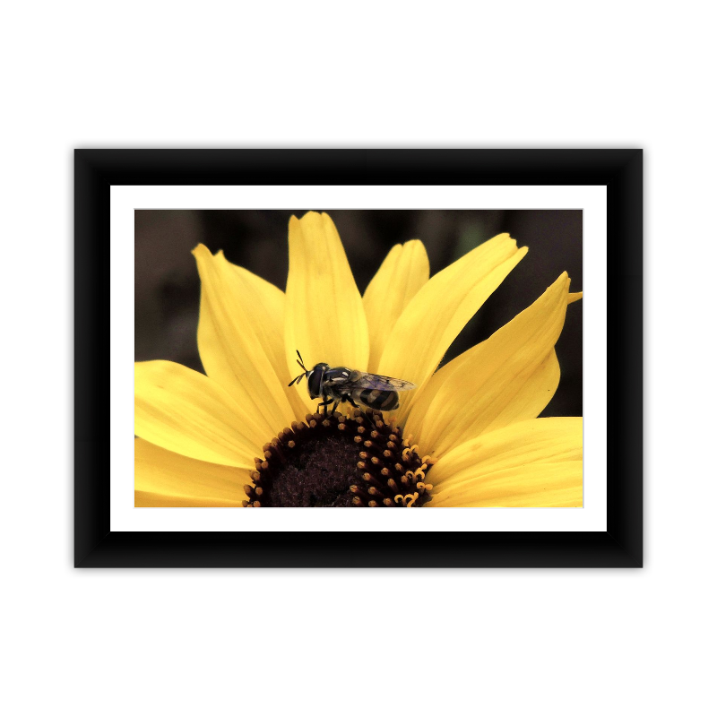 Bee Mimic